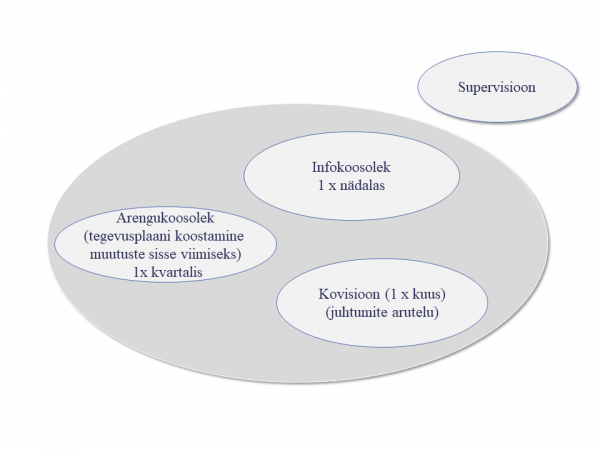 Kovisioon ja kovisiooni õpe