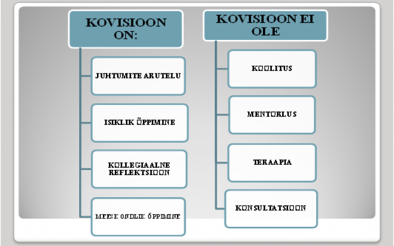 joonis7